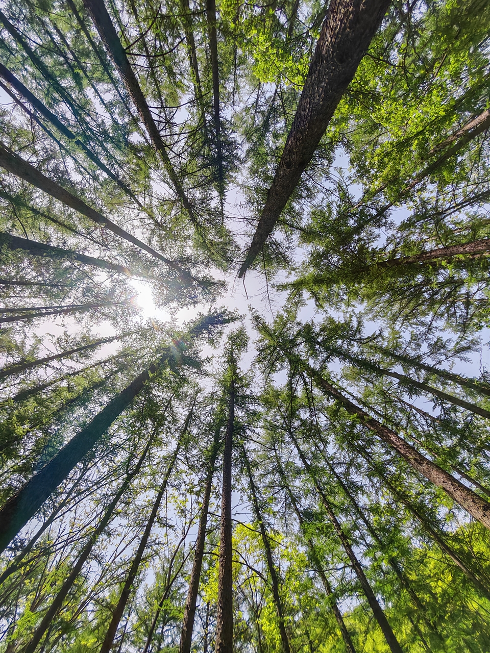 微信图片_20250505172138