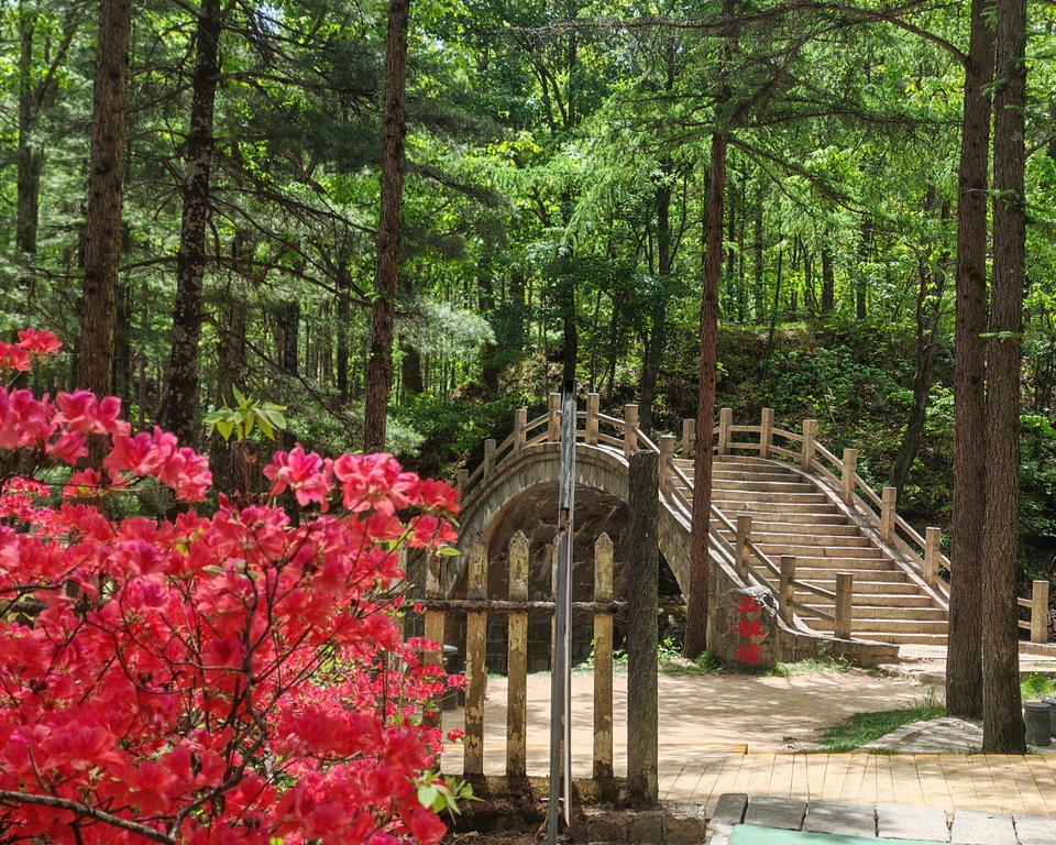 微信图片_20250505172310