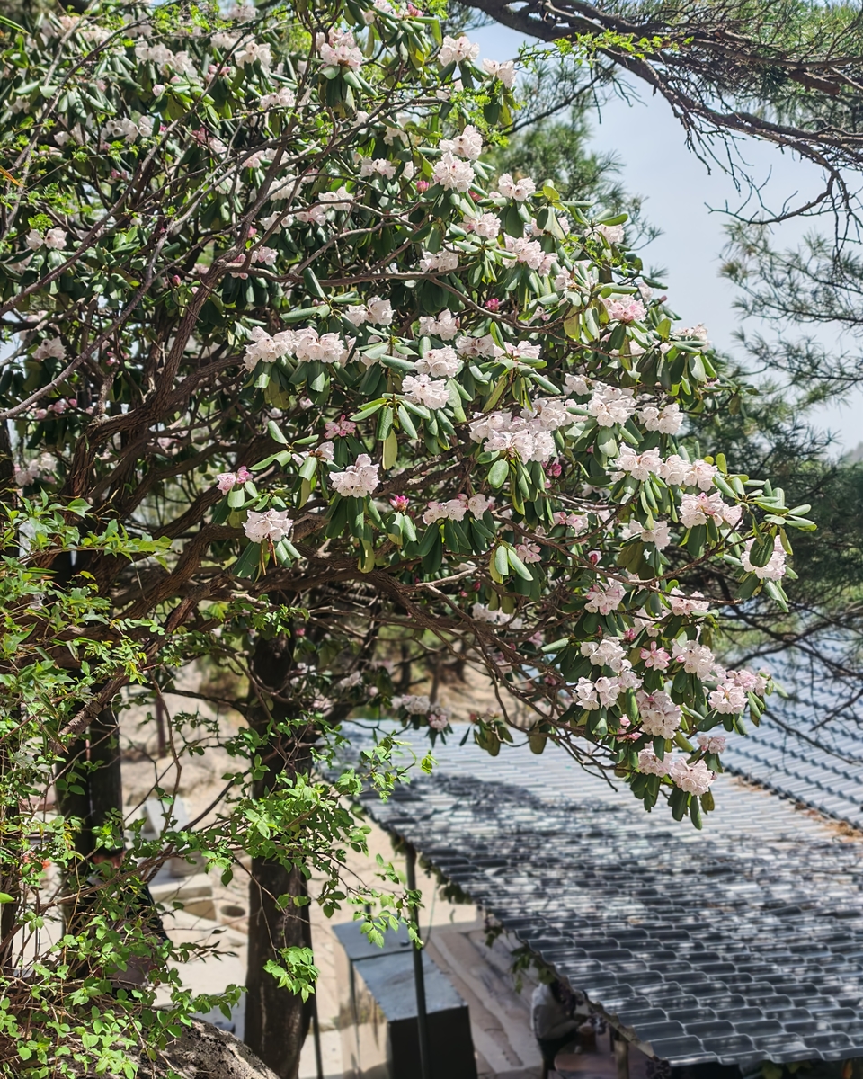 微信图片_20250505173308