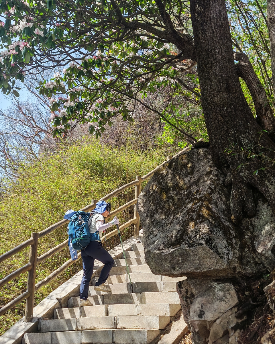 微信图片_20250505173421