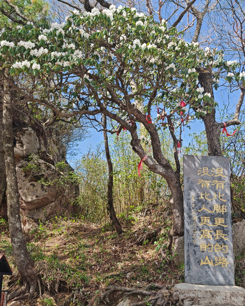 微信图片_20250505173507