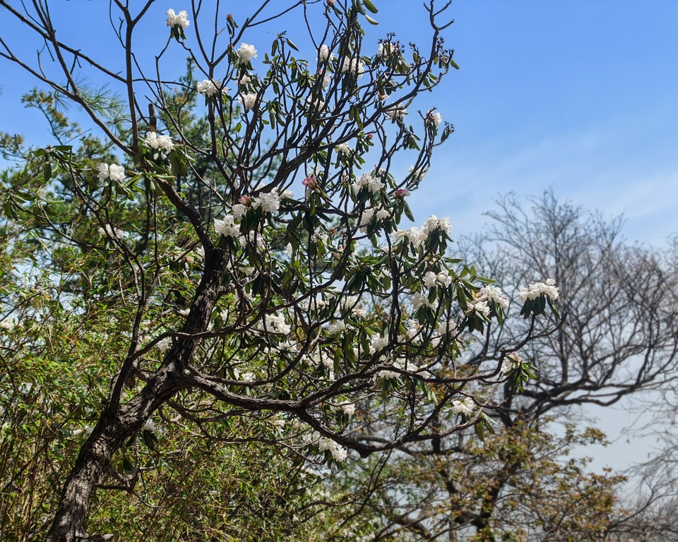 微信图片_20250505173607