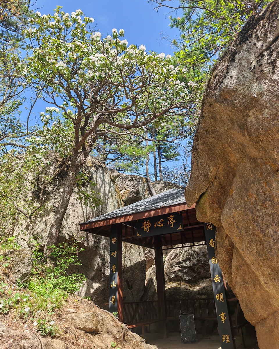 微信图片_20250505173640