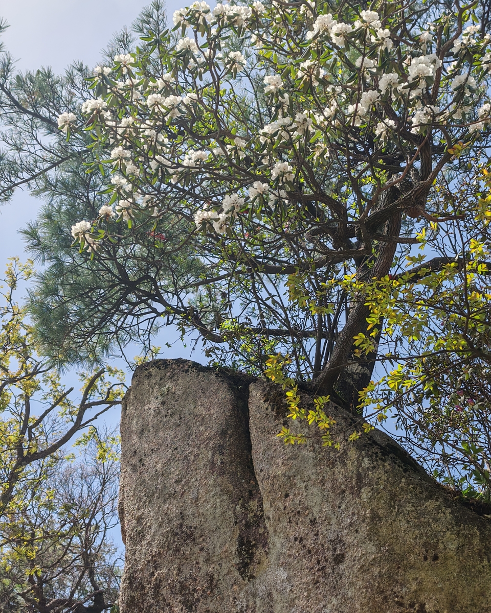 微信图片_20250505173739