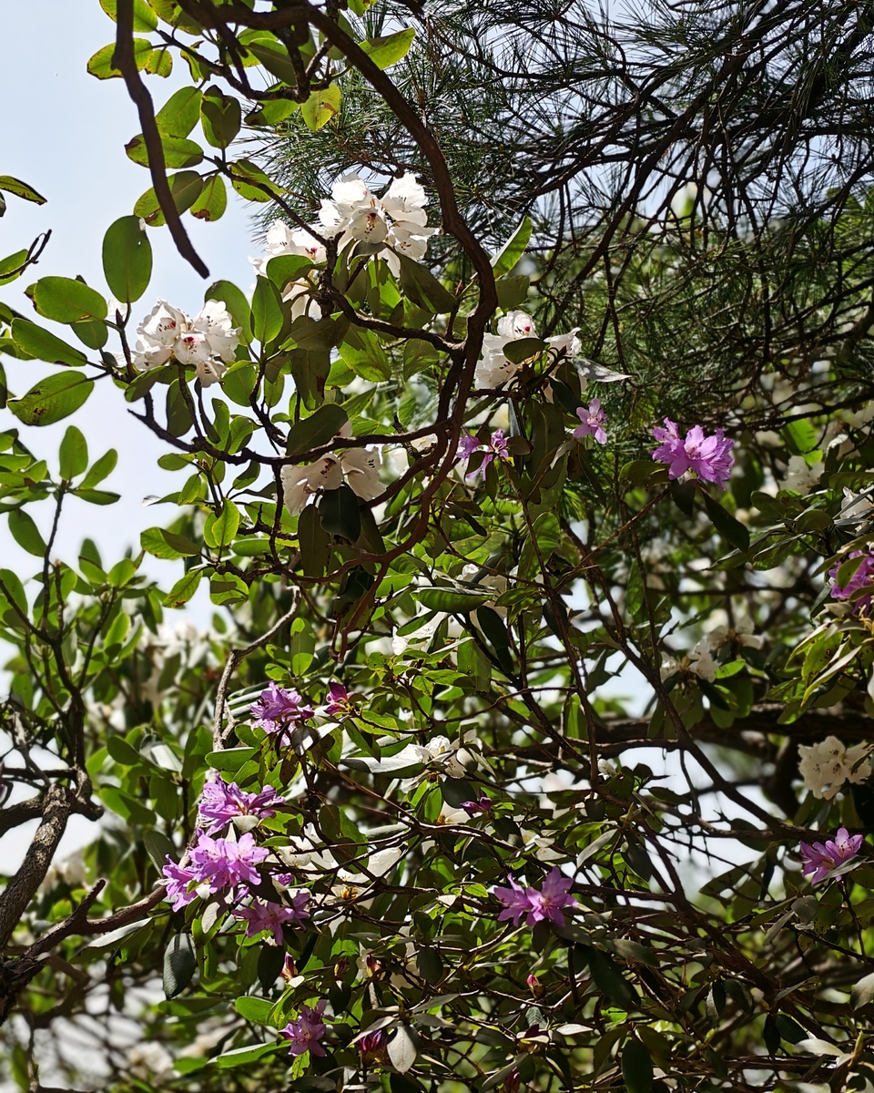 微信图片_20250505173821