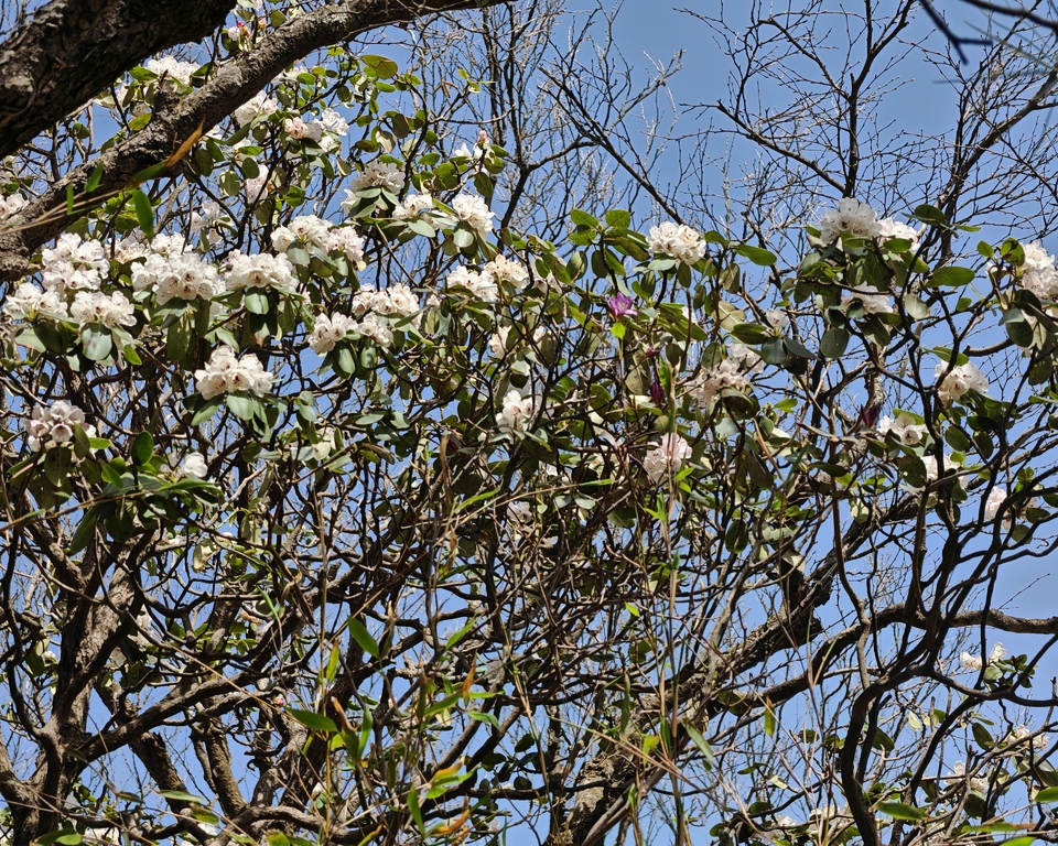 微信图片_20250505174056