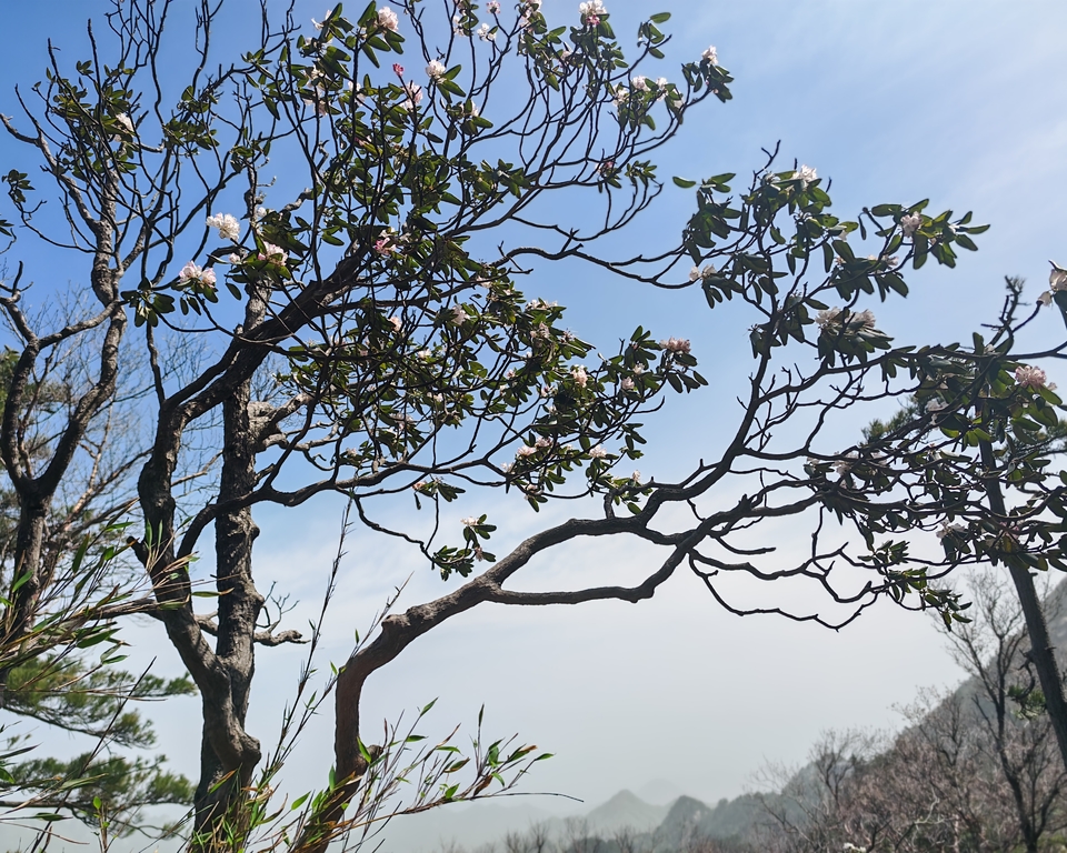 微信图片_20250505174200