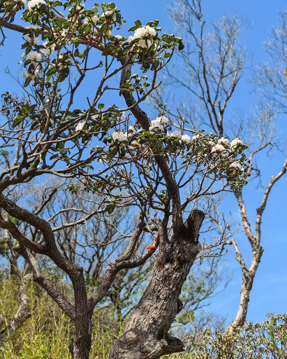 微信图片_20250505174441