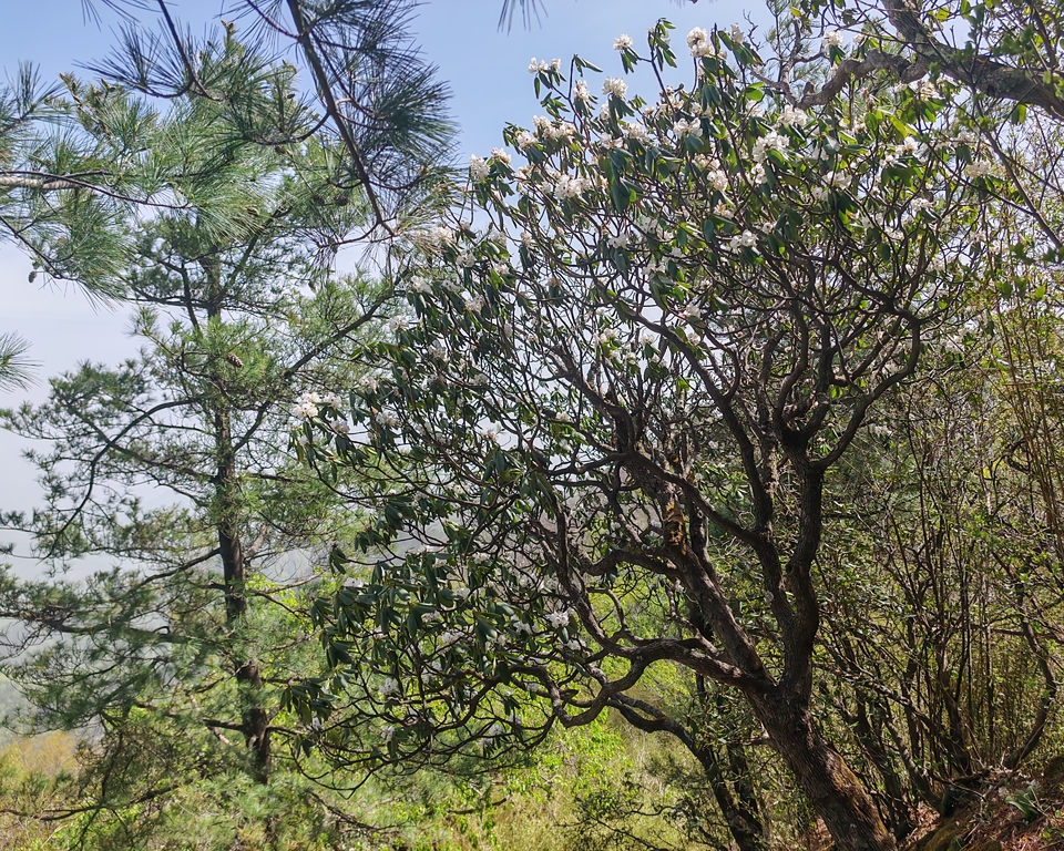 微信图片_20250505174500