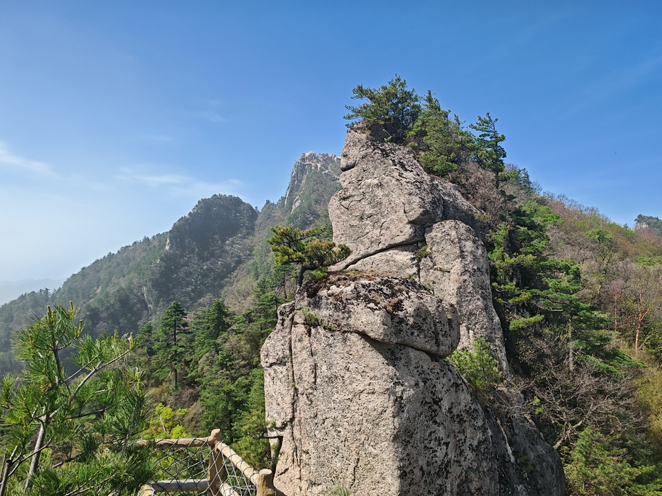 微信图片_20250505174532