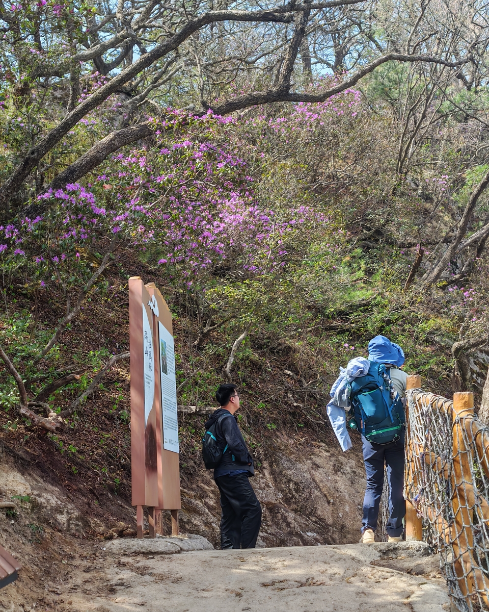 微信图片_20250505174550