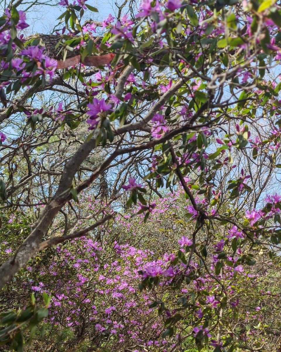 微信图片_20250505174623