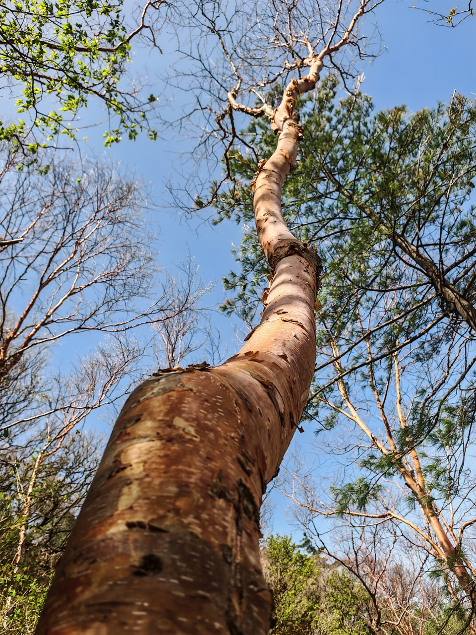 微信图片_20250505174655