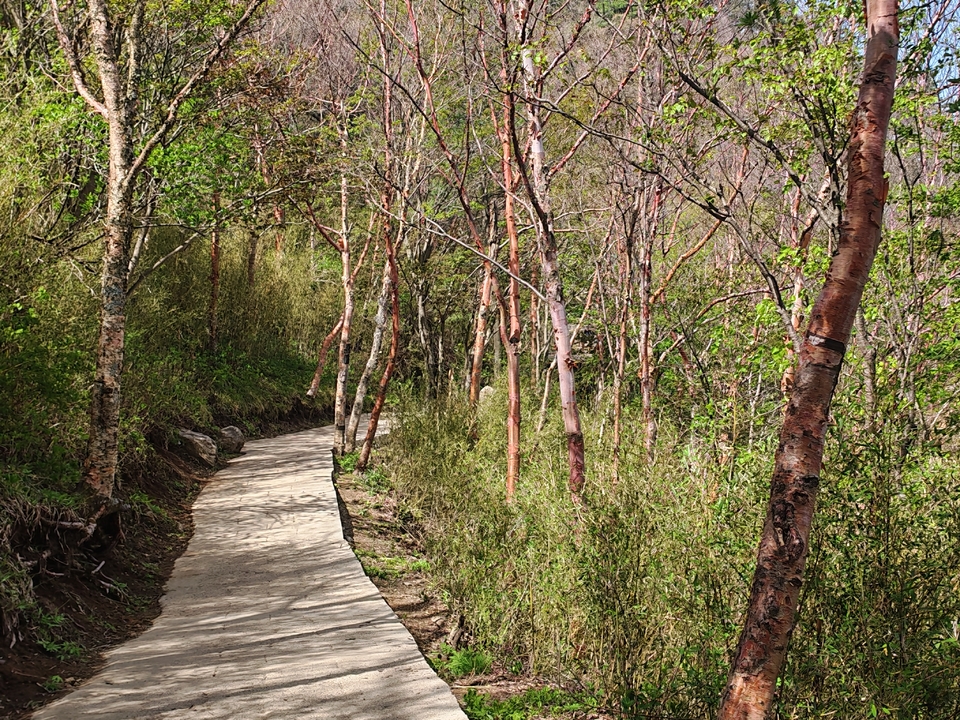 微信图片_20250505174706