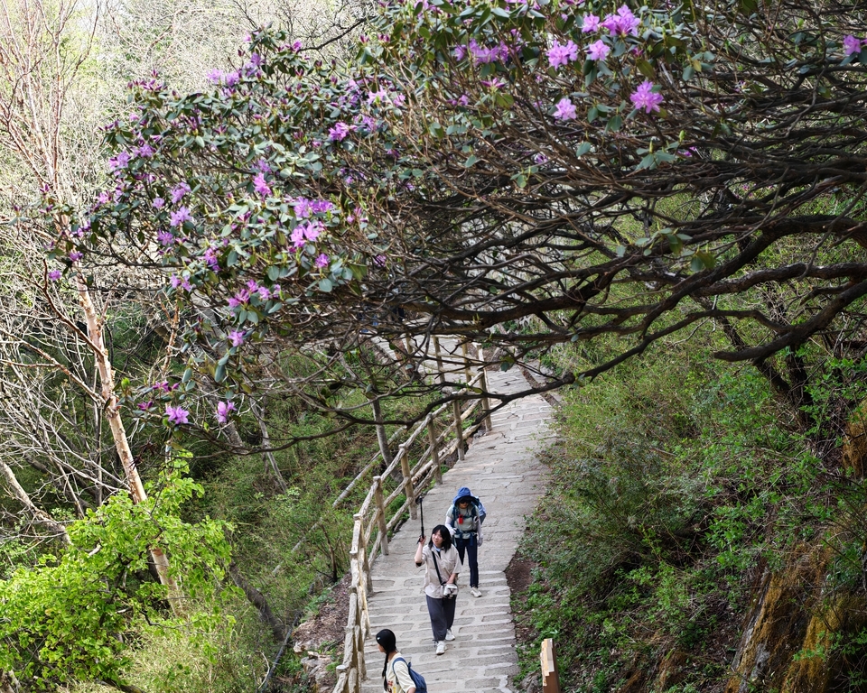 微信图片_20250505174714