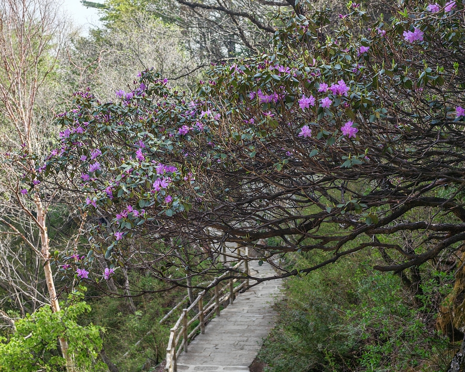 微信图片_20250505174733