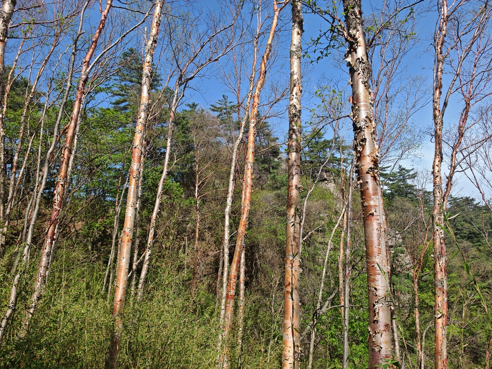 微信图片_20250505174744