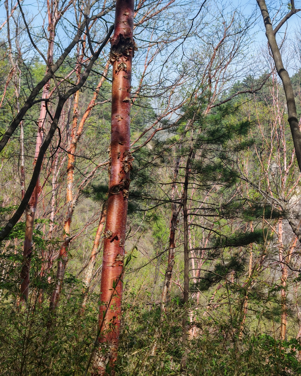 微信图片_20250505174803