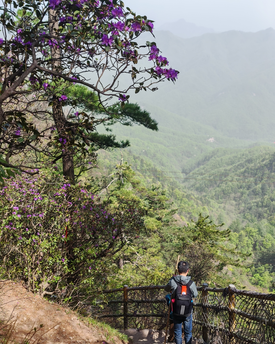 微信图片_20250505174921