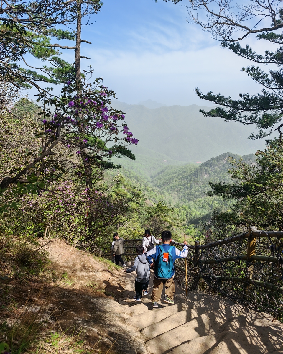 微信图片_20250505174926