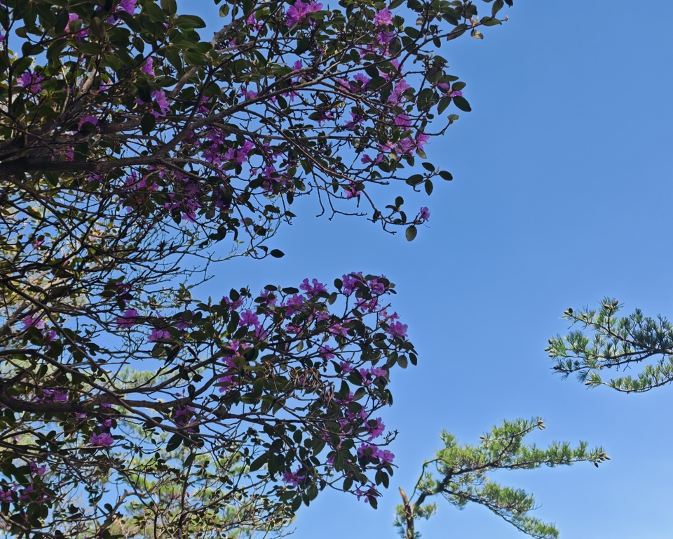 微信图片_20250505174936