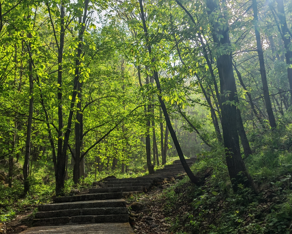 微信图片_20250505175020