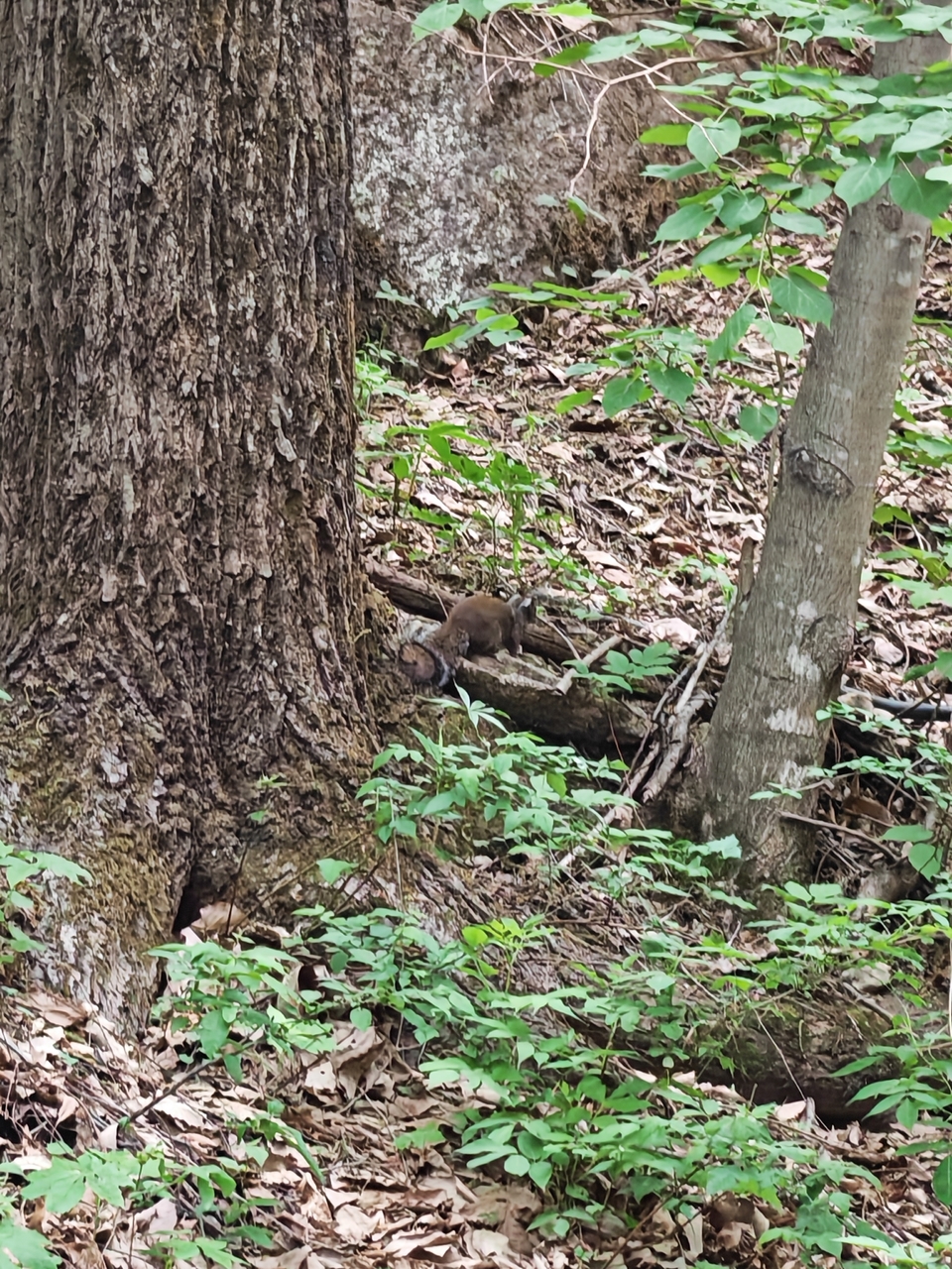 微信图片_20250505175118