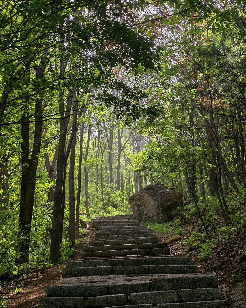 微信图片_20250505175126