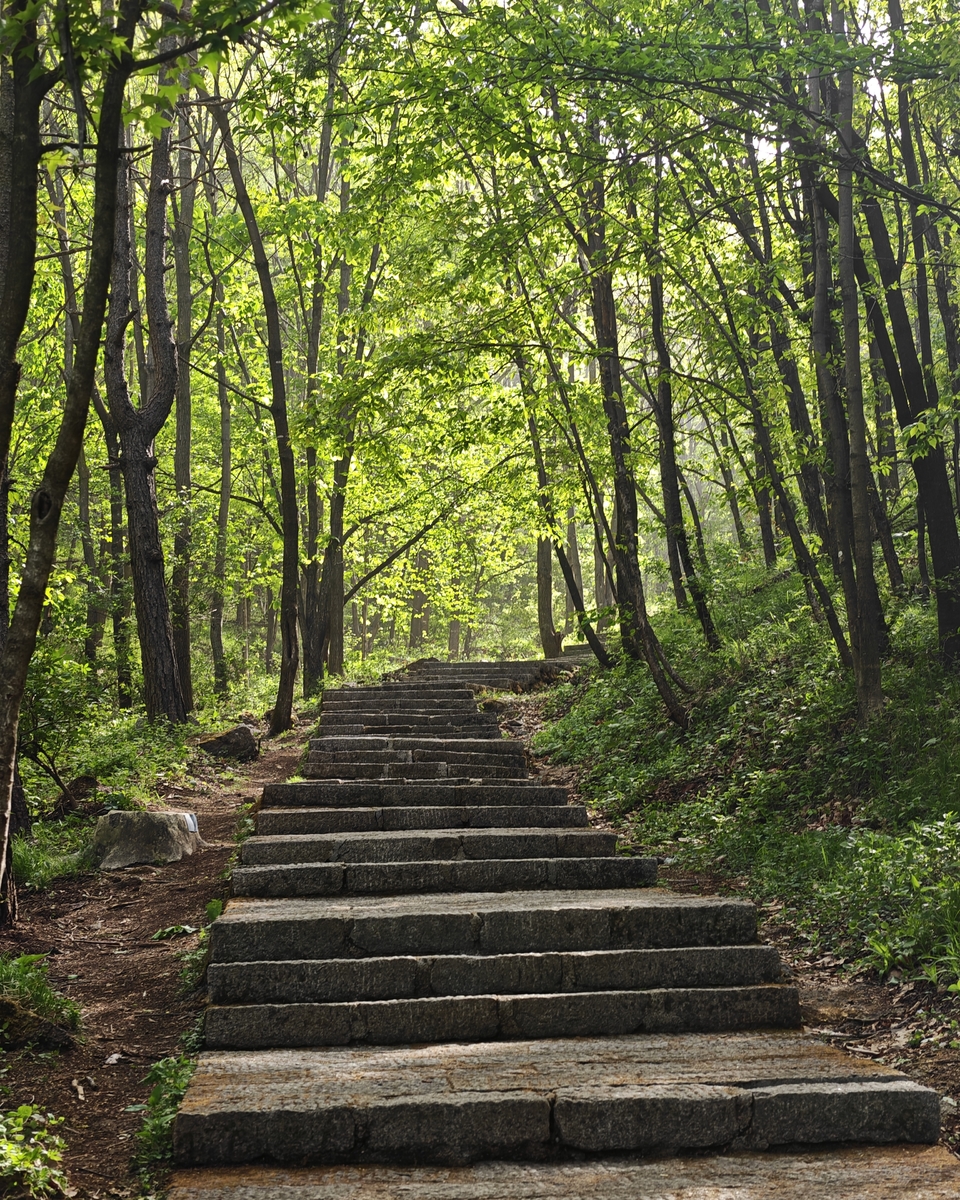 微信图片_20250505175135