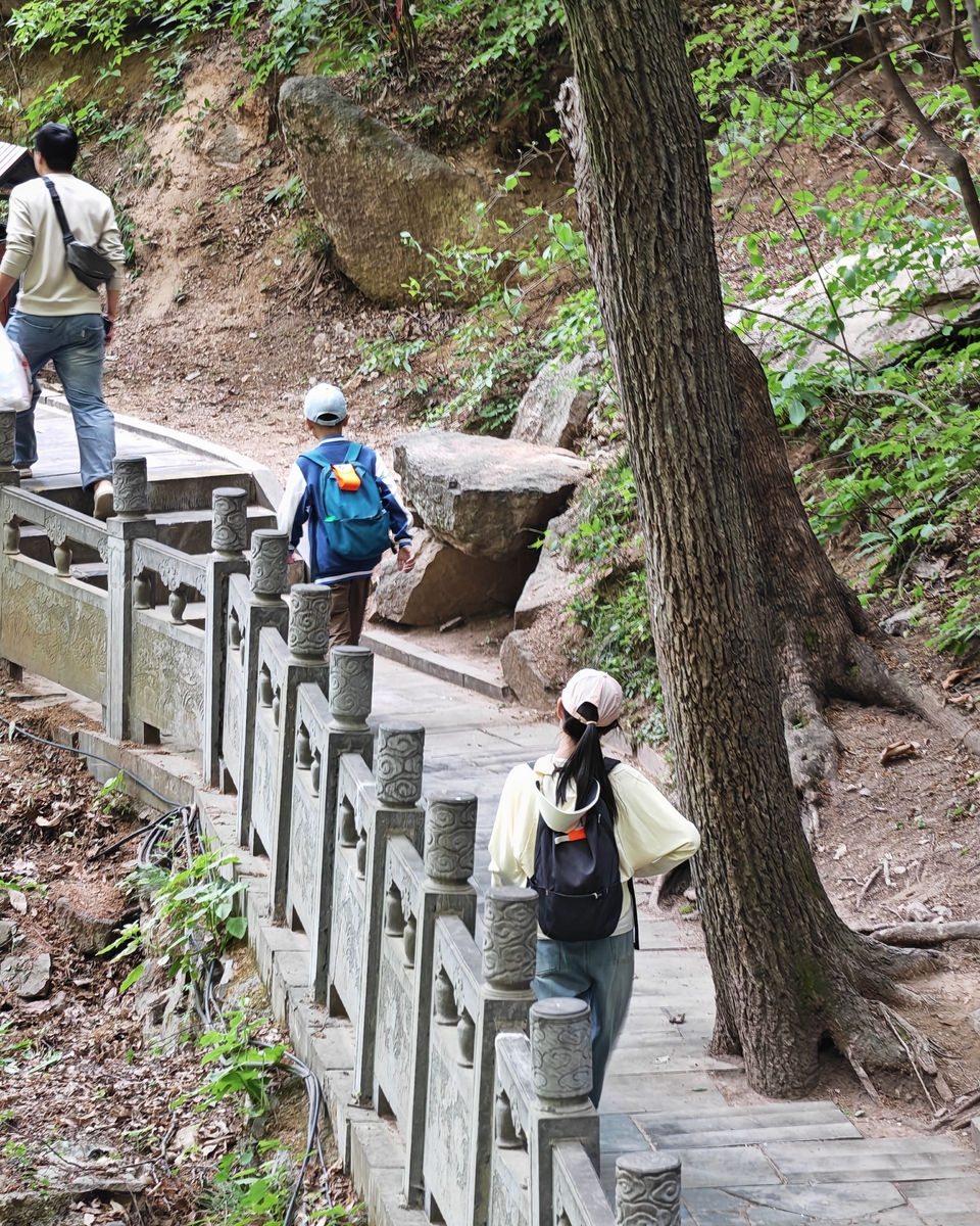 微信图片_20250506154023