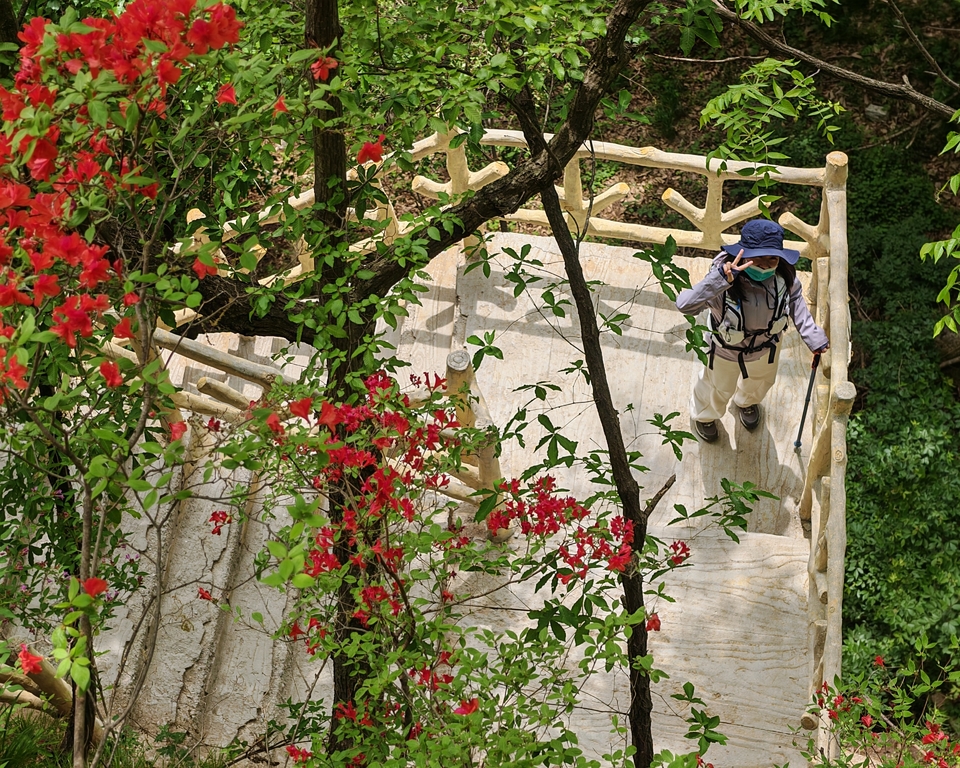 微信图片_20250506154034