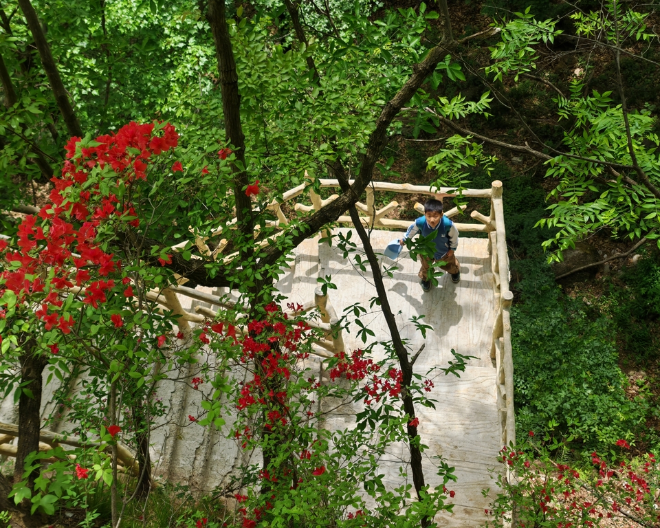 微信图片_20250506154101