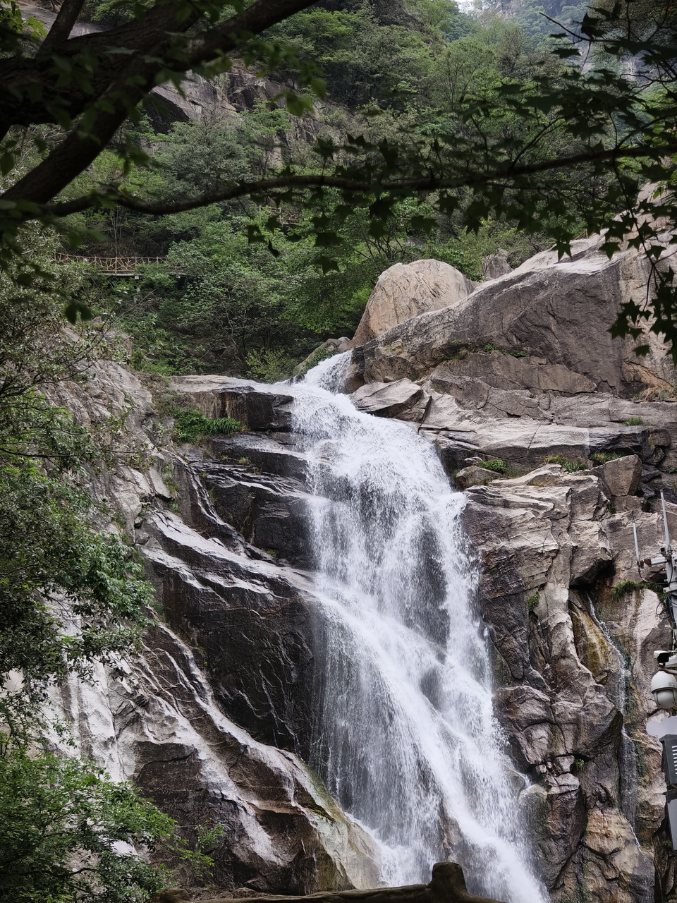 微信图片_20250506154116