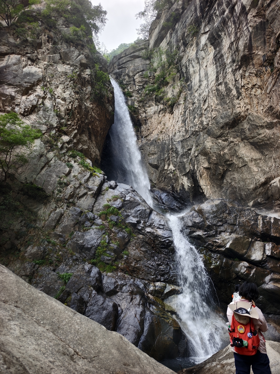 微信图片_20250506154152