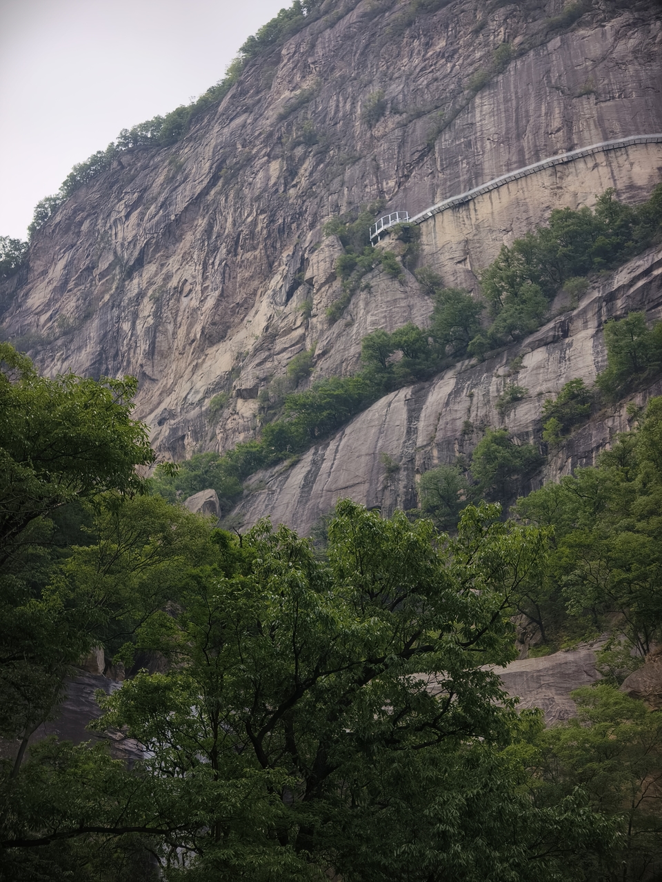 微信图片_20250506154219