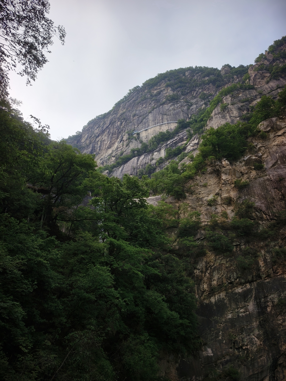 微信图片_20250506154222