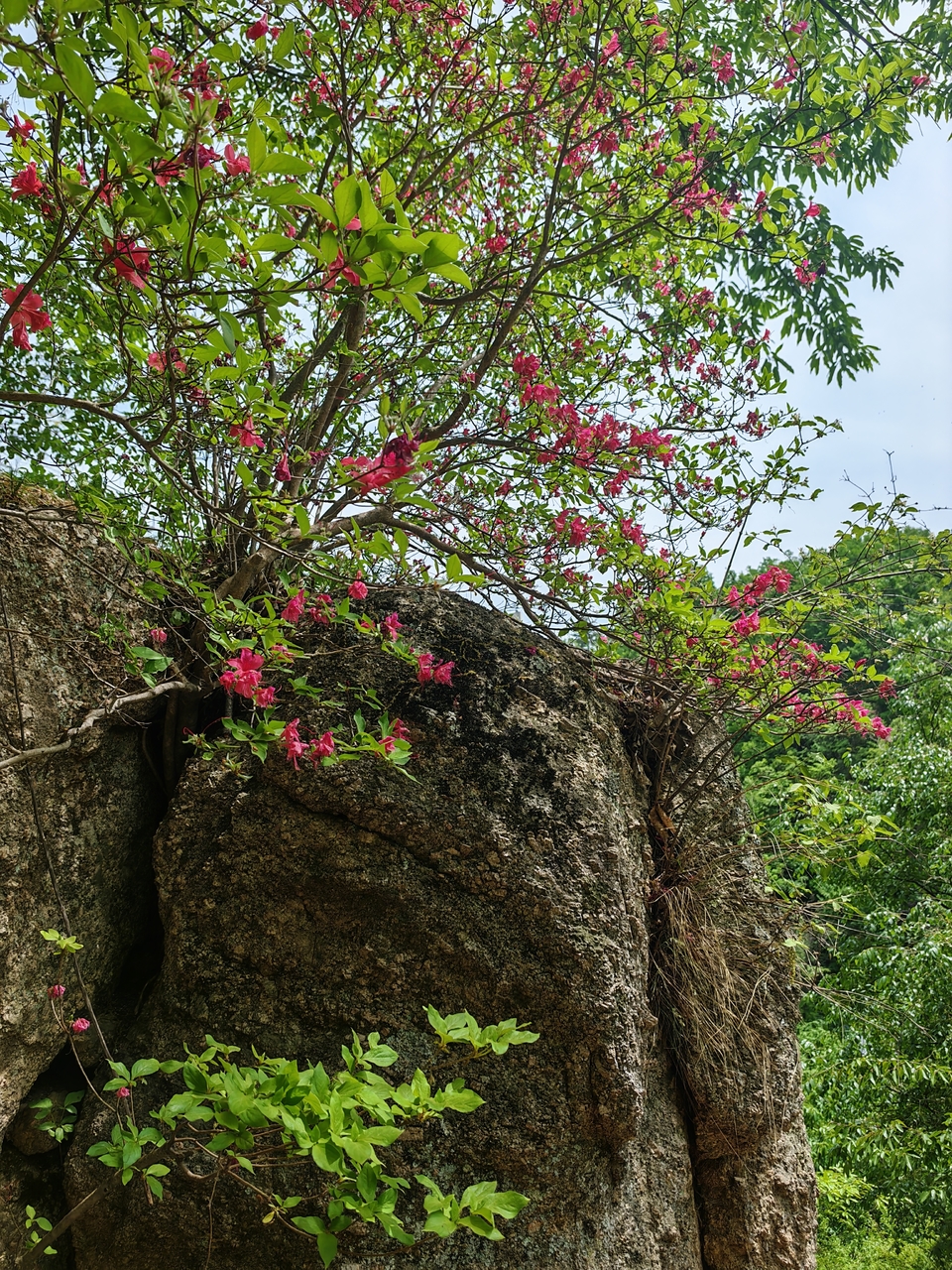 微信图片_20250506154255