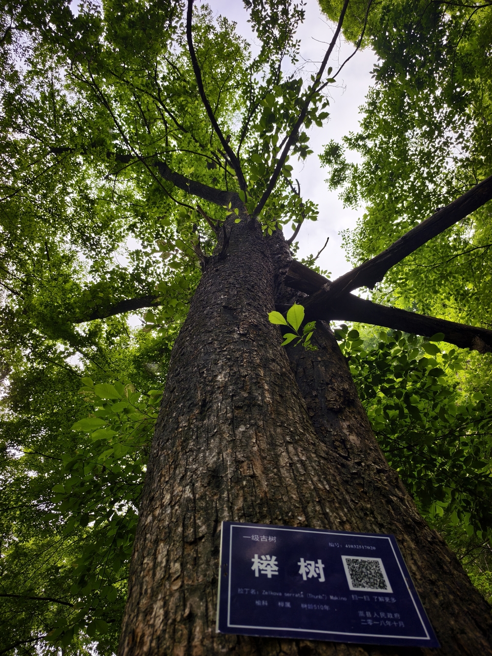 微信图片_20250506154259