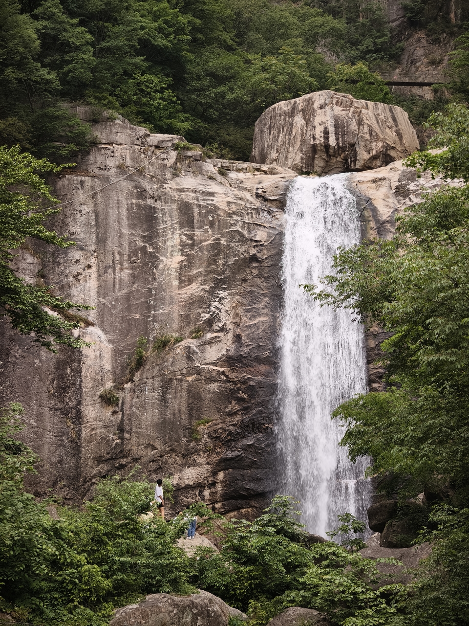 微信图片_20250506154305