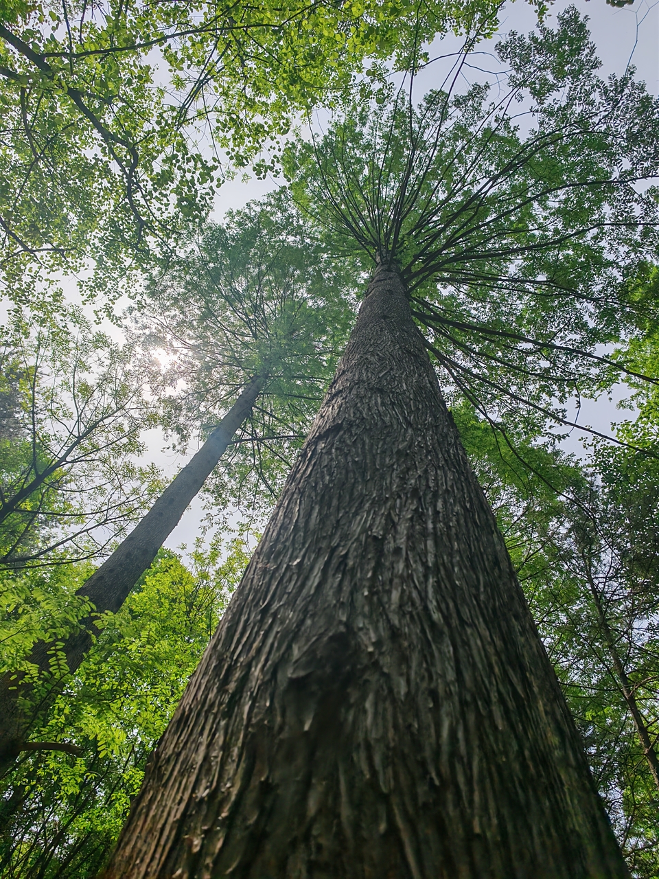 微信图片_20250506154334