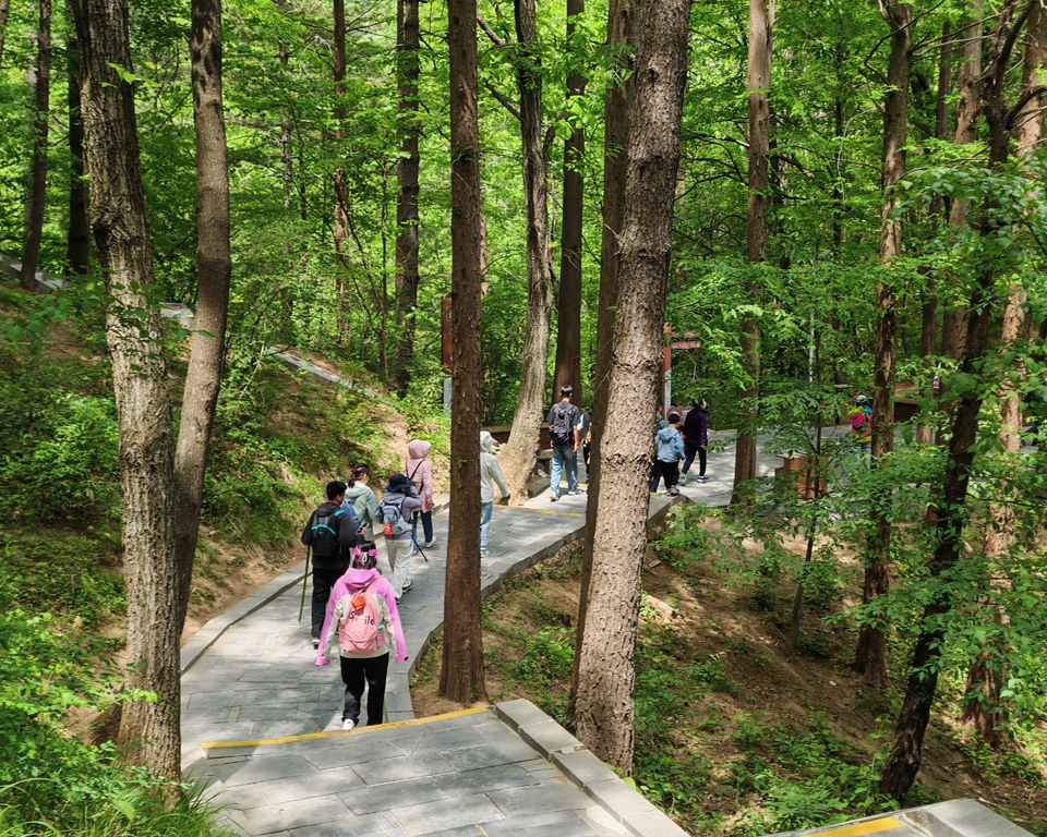 微信图片_20250506154338