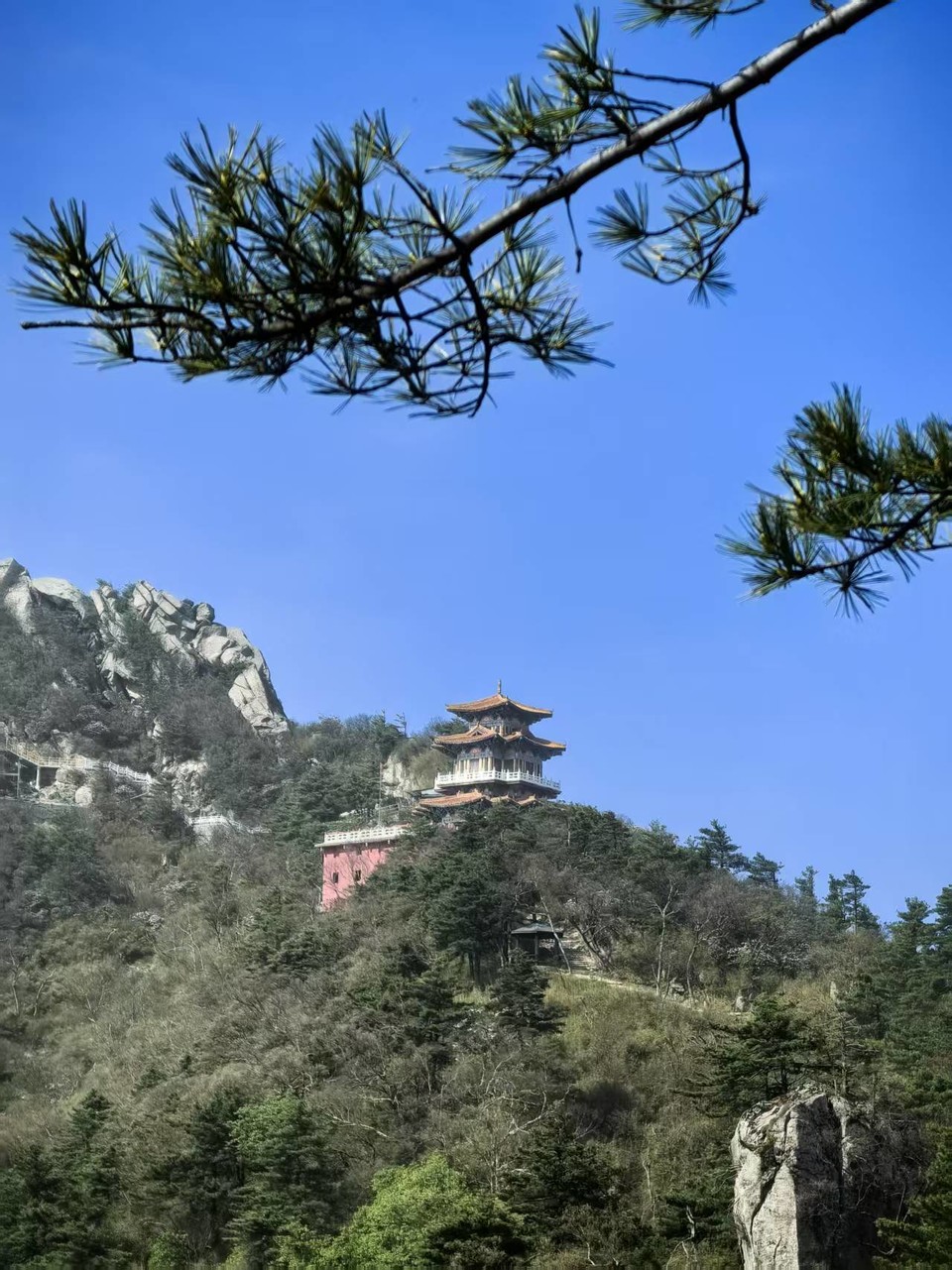 微信图片_20250506154348