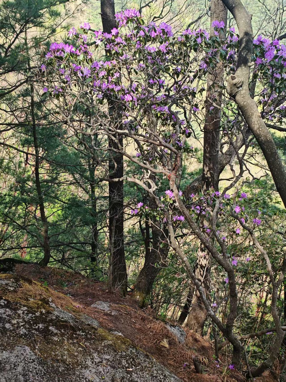 微信图片_20250506154349