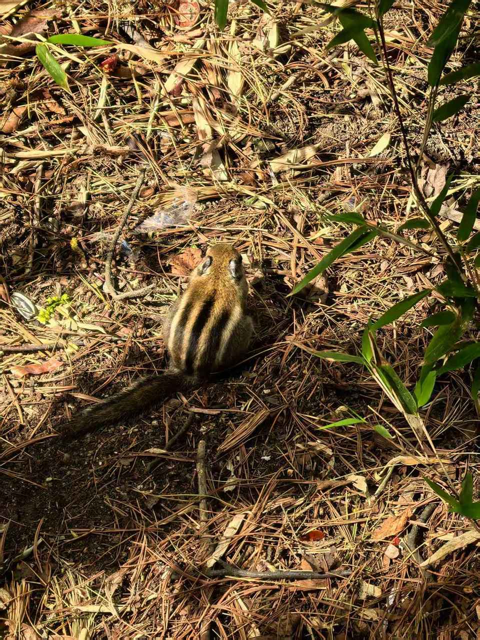 微信图片_20250506154350