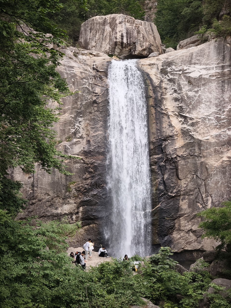 微信图片_20250506154401