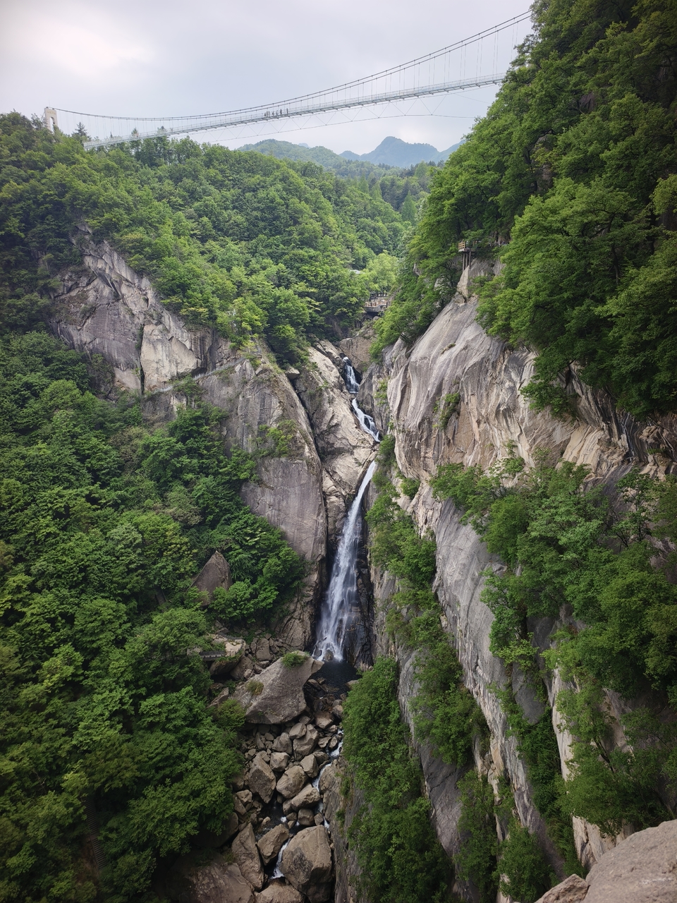 微信图片_20250506154437