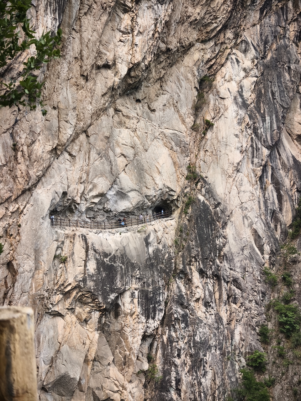 微信图片_20250506154444