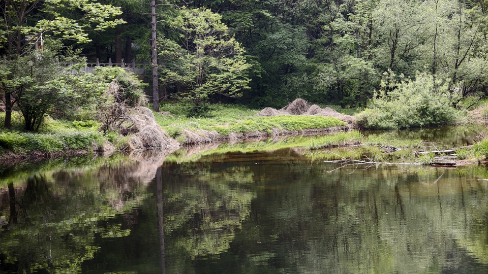 微信图片_20250506154505