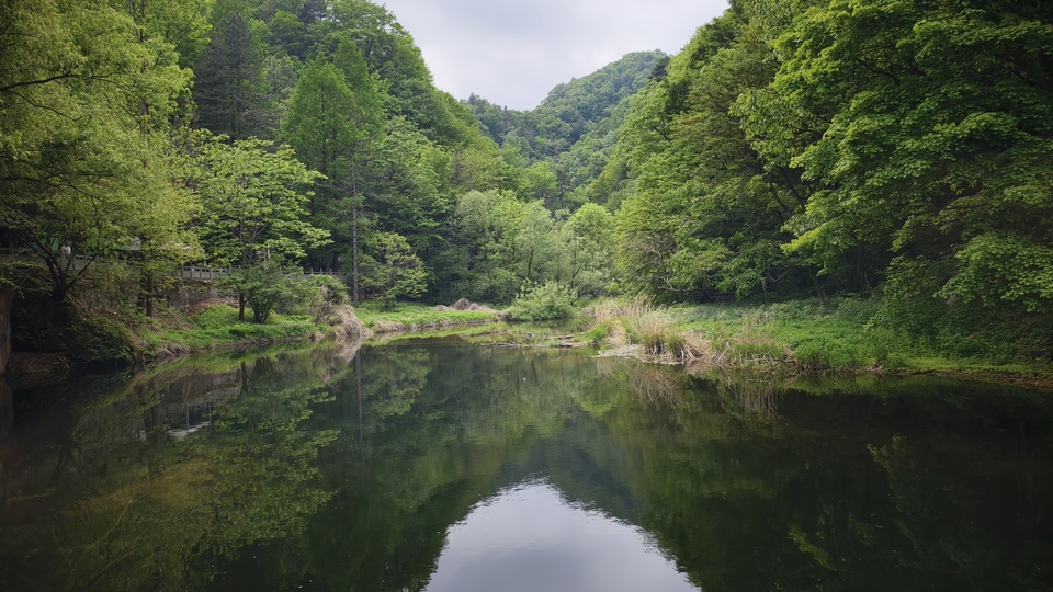 微信图片_20250506154509