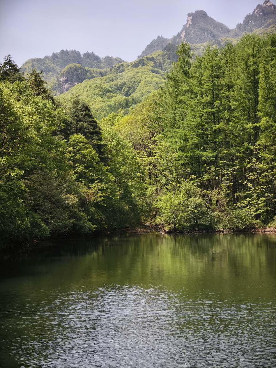 微信图片_20250506154609